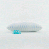 Softifox™ Pillow – Your New Favorite Pillow